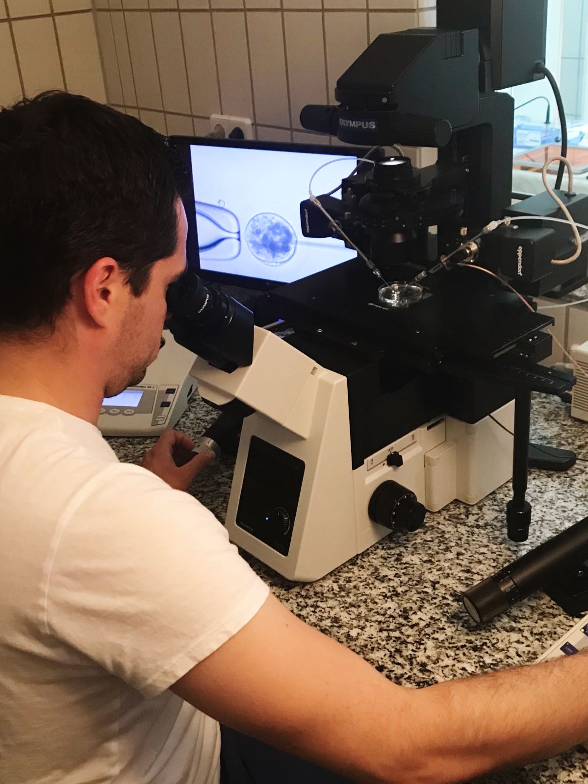 Veterinary specialist examining samples under a microscope at Progeny's laboratory